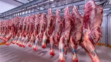 صعود الضاني وهبوط البتلو، أسعار اللحوم اليوم في الأسواق